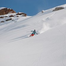 Sk&ouml;na sv&auml;ngar!. Foto: Hans Sellberg. &Aring;kare: Christian Fickler.