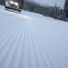 Heisane opnar igjen denne veka
Vi har f&aring;tt 20-25 .