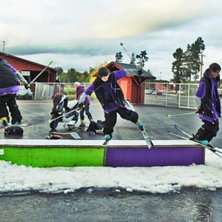 Fabbn shredd. Foto: Sara Jibbsara Andersson. &Aring;kare: Fabbn.