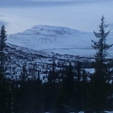 Majestetiske h&oslash;gevarde 
.