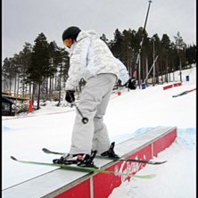 Railar. Foto: Togga Liljedal. &Aring;kare: Jonathan liljedal.