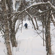 Skogs&aring;kning i Ramis!. Foto: Lucas Berglund. &Aring;kare: Anna Bramm&aring;s.