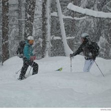 &Aring;kte perfekt skogs&aring;kning hela dagen och det n&ouml;a. Foto: N.Ljungwald. &Aring;kare: Cecilia och Larsa.