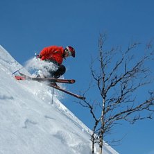 Foto: Petter Dahl. &Aring;kare: Andreas Dahl.