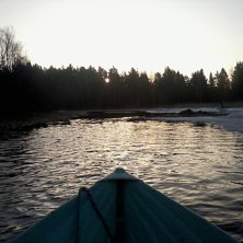 Foto: ian Archibald.