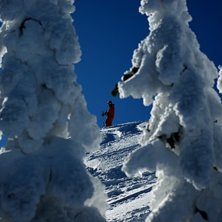 Foto: Johan Carlson.