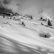 today was a good day...

see more of my work her. Foto: Christoph Oberschneider. &Aring;kare: C.S..