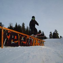 Sv&auml;ttigt, &auml;cligt, fult. Foto: Poni. &Aring;kare: Lucce Lillja.