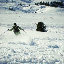 N&aring;got mindre bakvikt.. v&auml;ldigt l&aring;nga stavar.
M. Foto: Karin Kronstr&ouml;m. &Aring;kare: Hedda Berander.