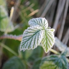 Foto: Linn &Ouml;stlund.