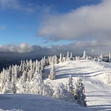 Fine forhold i bakken i dag... :-)
.