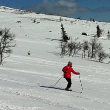 Soligt i H&ouml;gis.. Foto: Klas Jonsson. &Aring;kare: Jag.