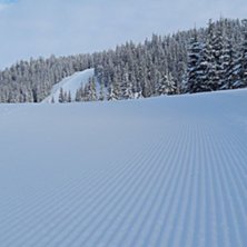Fantastisk f&oslash;re
..og str&aring;lende sol!.