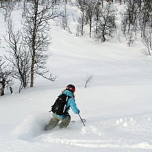Foto: Andreas Gustavsson. &Aring;kare: Anna Gustavsson.