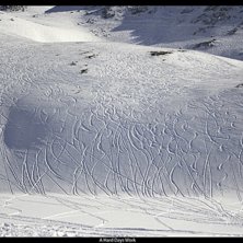 En dag p&aring; jobbet &auml;r &ouml;ver.. Foto: Stefan Bogren.