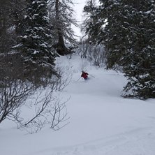 Skogs&aring;kning. Foto: Samuel. &Aring;kare: Philip Gertzell.