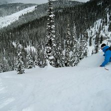 Brant, gles skog och inte ett sp&aring;r s&aring; l&aring;ngt &ouml;g. Foto: Even Ofstad. &Aring;kare: Tobias Liljeroth.