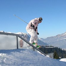 Dubbel kinkat. Foto: e.gyllander. &Aring;kare: heda.