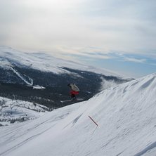 &Ouml;rnen flyger. Foto: Bengt Eriksson. &Aring;kare: Magnus Sundman.