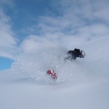 Lolsie i en liten spinn i sn&ouml;n. Foto: Emil Engman. &Aring;kare: Louise Ryd&eacute;n.
