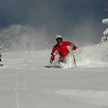 Foto: Bj&ouml;rn Nilsson. &Aring;kare: Mats Nilsson.
