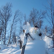 Livet &auml;r l&auml;tt n&auml;r det &auml;r sol och nysn&ouml;. Foto: Jonas Andersson. &Aring;kare: Per Andersson.