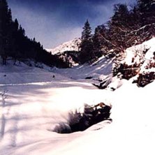 Foto: Fredrik Johansson. &Aring;kare: ingen.