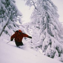 Foto: Jonathan Josefsson. &Aring;kare: Gustav Holmdahl.