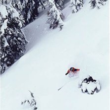 Foto: Shawn Morris. &Aring;kare: H&aring;kan Plam.