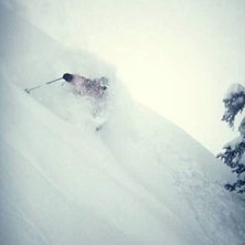 Foto: Alex Guzman. &Aring;kare: H&aring;kan palm.