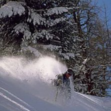 Foto: Alexander Klun. &Aring;kare: Henrik Sj&ouml;blom.