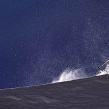 Foto: Fredrik Schenholm. &Aring;kare: Jacob dansk.