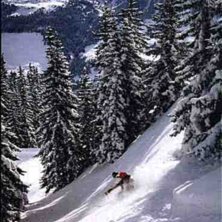 Foto: Martin P&aring;lsson. &Aring;kare: Jakob Oxenholt.