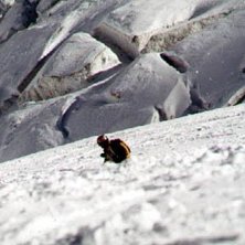 Foto: Mats Jansson. &Aring;kare: Jakob Wikner.