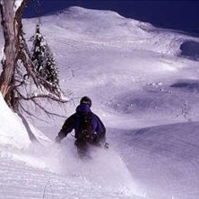 Foto: Henrik Lindstr&ouml;m. &Aring;kare: John Rehnberg.