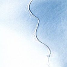 Foto: Johan Yveborg. &Aring;kare: Magnus Nord.