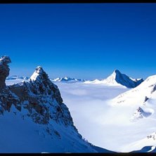 Foto: martin s&ouml;derqvist. &Aring;kare: ingen.