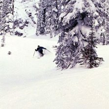 Foto: Victor Zetterquist. &Aring;kare: Niklas Adamsson.