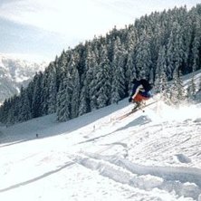 Foto: VIlhelm &Ouml;berg. &Aring;kare: Patrik Lundberg.