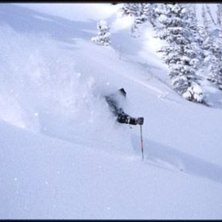 Foto: Per Liljeholm. &Aring;kare: Ok&auml;nd.