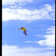 Foto: Per Liljeholm. &Aring;kare: Ok&auml;nd fransos.