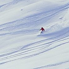 Foto: Per Liljeholm. &Aring;kare: Ok&auml;nd fransos.