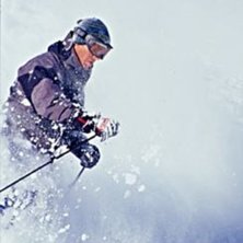 Foto: Per Liljeholm. &Aring;kare: Ok&auml;nd fransos.