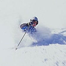 Foto: Per Liljeholm. &Aring;kare: Ok&auml;nd fransos.