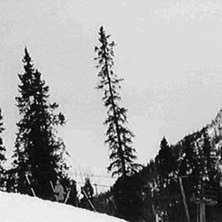 Foto: Jesper Lidenberg. &Aring;kare: Petter Lidenberg.