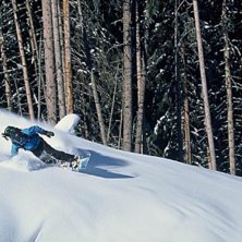 Foto: Fredrik Schenholm. &Aring;kare: Pontus Andersson.