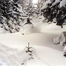 Foto: Henrik Johansson. &Aring;kare: Rasmus Lundin.