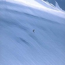 Foto: Alexander Klun. &Aring;kare: Sverre Liljeqvist.