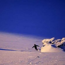 Foto: Ketil Isaksen. &Aring;kare: Thomas Aaserud.