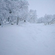 2002-02-02 T-Style br&auml;nner h&aring;rd offpist lite til. Foto: Silverbullet. &Aring;kare: T-Style.